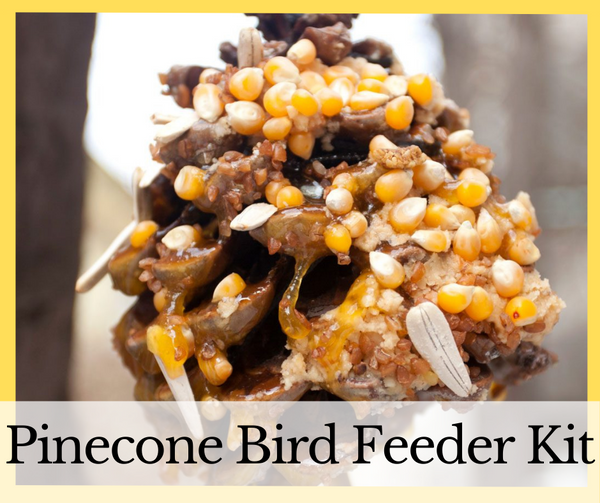 DIY Pine Cone Peanut Butter Bird Feeder | Yellow Table Studio