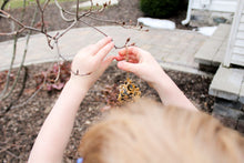 Load image into Gallery viewer, DIY Pine Cone Peanut Butter Bird Feeder
