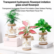 Load image into Gallery viewer, 50% Off Mini Hydroponic Vase
