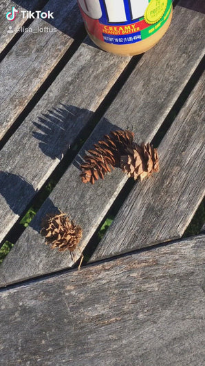 DIY Pine Cone Peanut Butter Bird Feeder | Yellow Table Studio